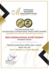 MICHELANGELO INTERNATIONAL AWARDS 2022