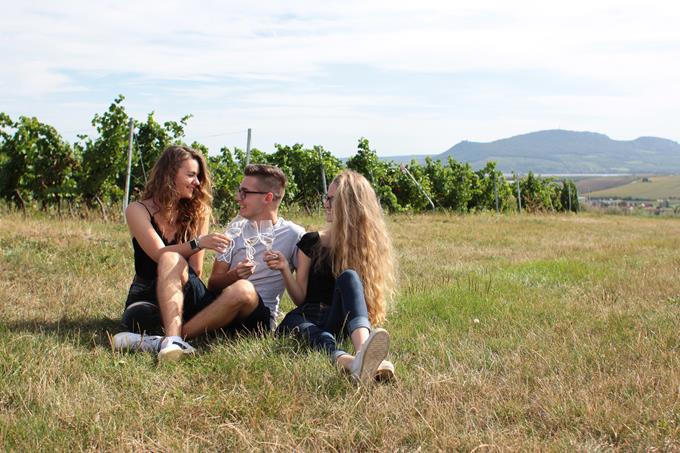 Připíjející mladý muž obklopen dívkami sedící v trávě mezi vinicemi