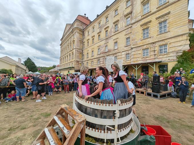Znovín soutěž v šlapání hrozů Burčákfest 2024