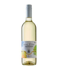 PRVNÍ LETOŠNÍ - Sauvignon