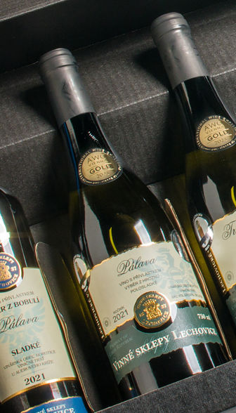 Kolekce Terravino Israel 2024 